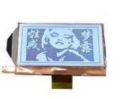 画像6: SGD Solomon Goldentek Display (台湾)　LCDモジュール  