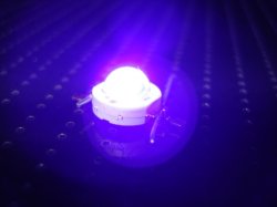 画像5: VioLED (台湾)　UV LED (紫外線LED) ランプ φ3mm φ5mm スルーホール エミッター 電球 チューブ