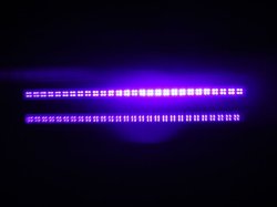 画像7: VioLED (台湾)　UV LED (紫外線LED) ランプ φ3mm φ5mm スルーホール エミッター 電球 チューブ
